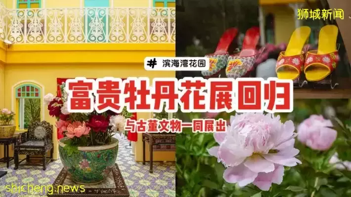 滨海湾花园富贵牡丹花卉展来了！与本地博物馆同时展出古董文物，值得一逛👍