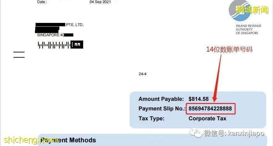赶紧收藏这篇干货！教你怎么在新加坡支付企业所得税