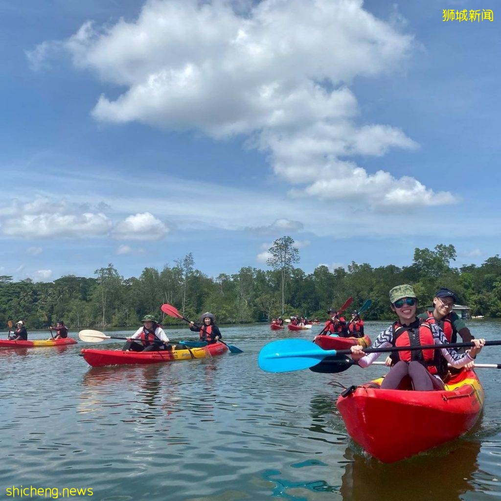 东部新发现！海边餐厅Ohana Beach House🌊立桨冲浪+器材租借，$12享受划船乐趣🛶 