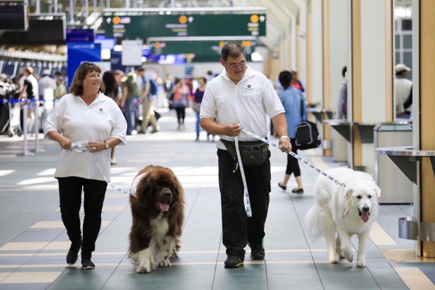 20171213_airportdog.jpg