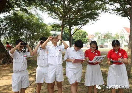 新加坡各阶段申请条件、学费及CAA课程