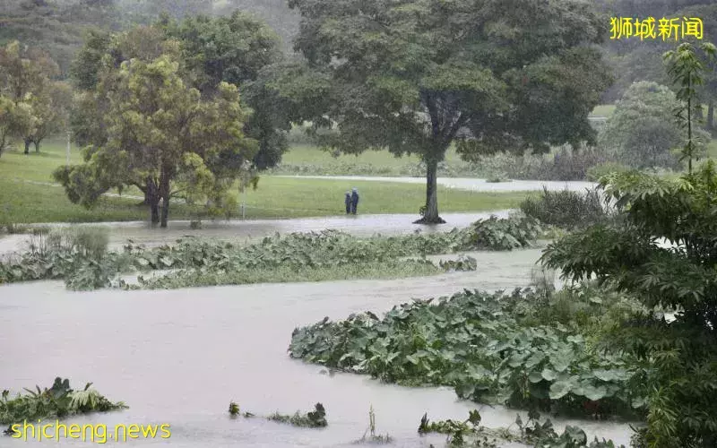 2月首两周本地午后多有雷阵雨 最高气温34摄氏度