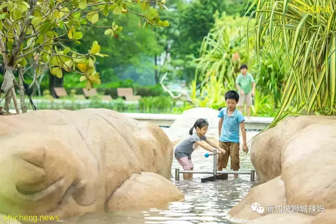 免费！新加坡最适合娃的公园，蝴蝶迷宫、沙滩小湾、瀑布、滑梯秋千