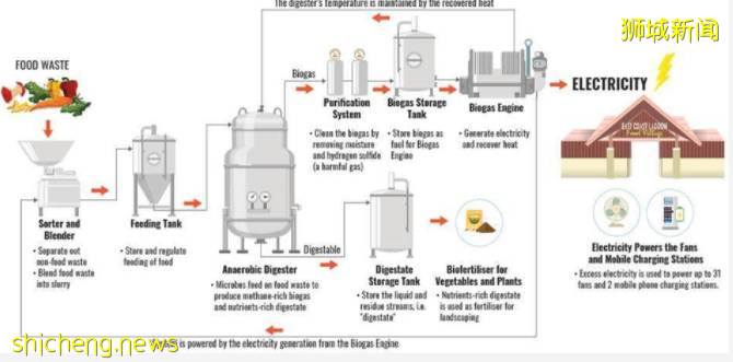 降低碳排放，食物垃圾巧利用，新加坡国立大学又立新功