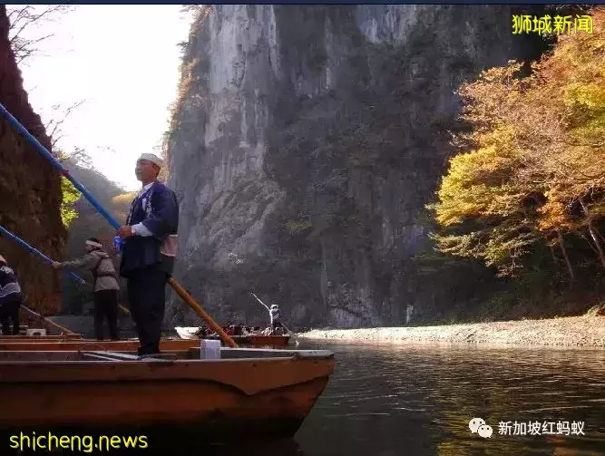 一窥日本“测试旅行团”行程　疫后游日本还能跟过去一样自在吗