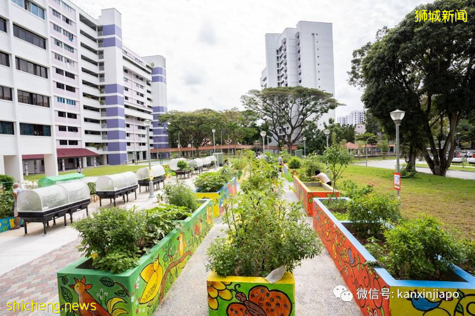 登高遠眺，解鎖新加坡新地標山丘步道、蝴蝶園和遛狗場 .