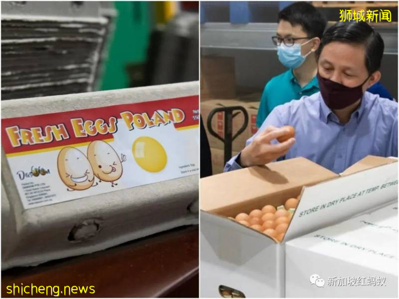新貨源來了！　新加坡人今起可吃到波蘭進口雞蛋!