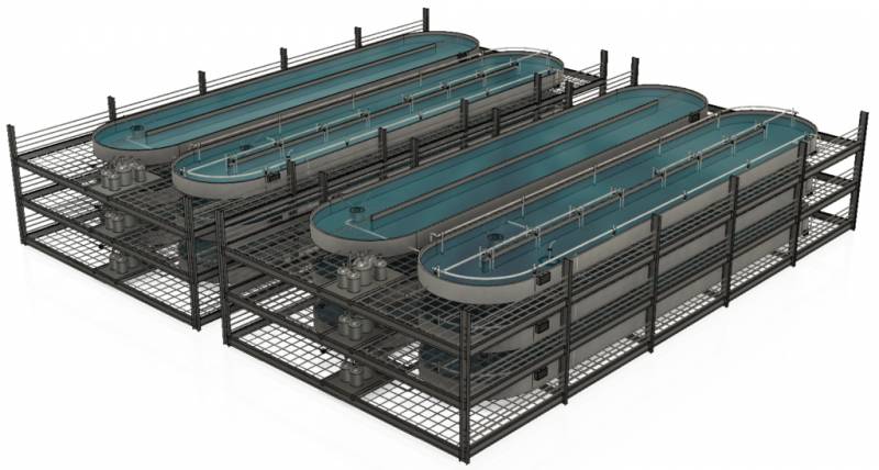 新加坡为对虾建造“公寓楼”