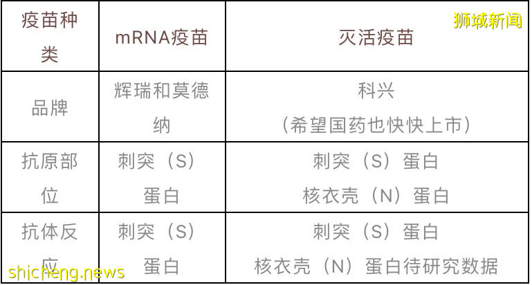 打完疫苗後抗體陽性從新加坡順利回國？科學家手把手教你這麽做