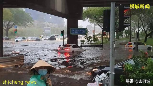 北极的格陵兰岛降雨让热带的新加坡有点激动，生意来了