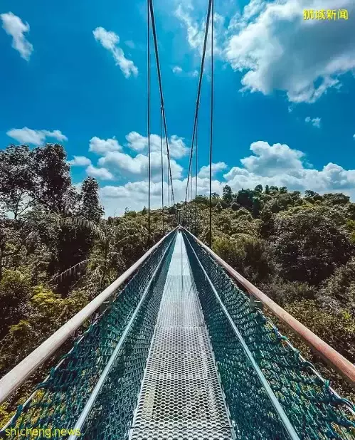 玩在狮城 春日踏青好去处推荐——坡岛这4个风景绝佳的徒步胜地你一定不能错过