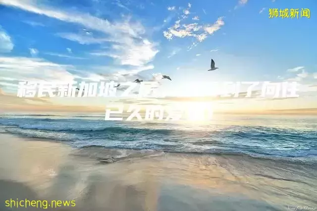 移民新加坡之后，我得到了向往已久的爱情