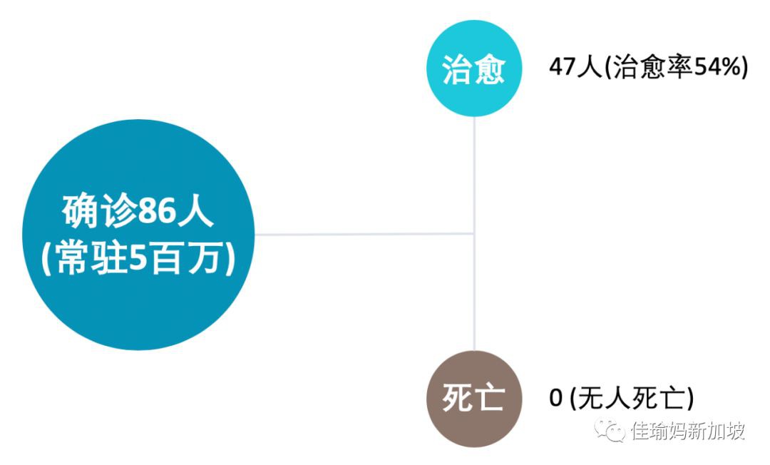 真实故事！不戴口罩照常生活，一家4口在佛系新加坡如何防疫？