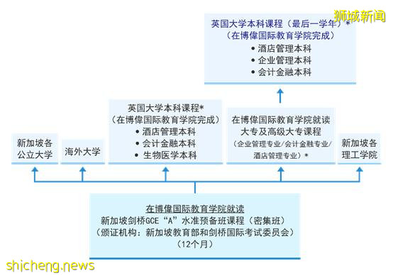 【新加坡留学】高二换个赛道冲刺世界名校