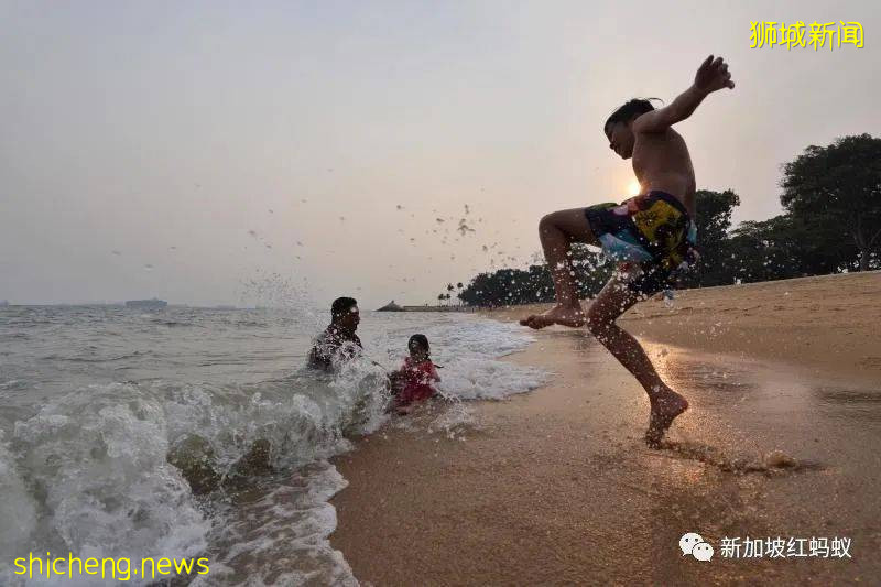 新加坡职业妇女周一至周五下班后，带娃时间比丈夫多出一倍