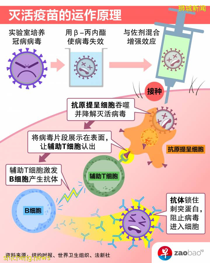 世卫开绿灯 中国科兴疫苗会是谁的“强心针”