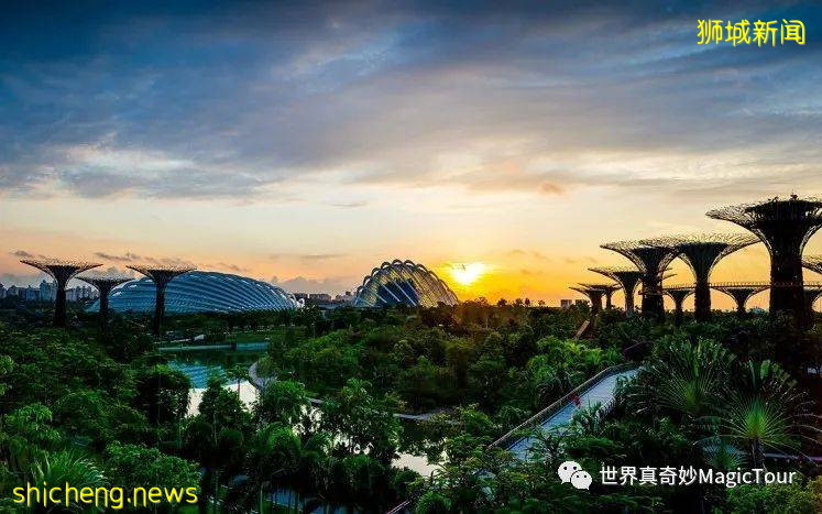 新加坡 帶您走進新加坡濱海灣花園