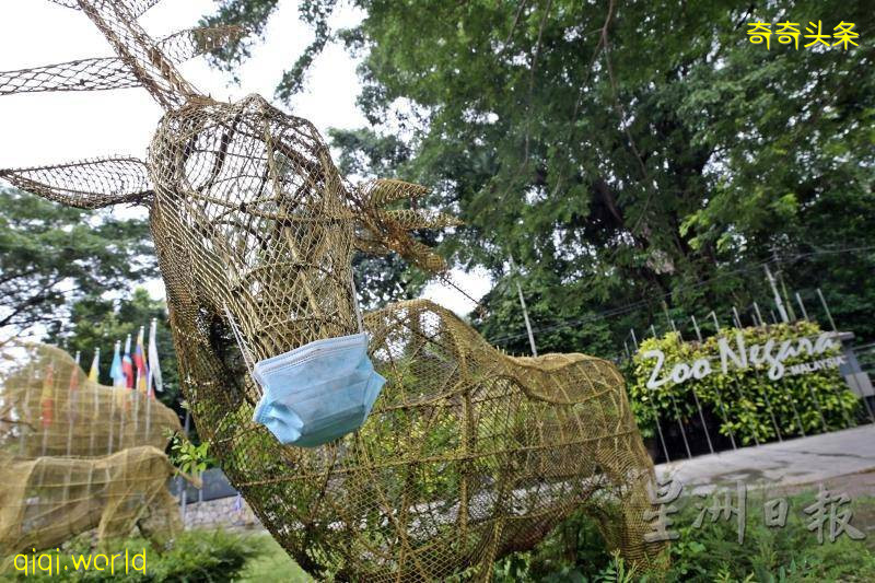 全年免費票超搶手．國家動物園甫開放現人龍!