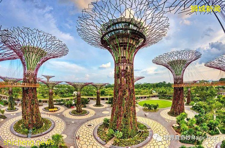新加坡 帶您走進新加坡濱海灣花園