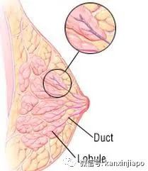 新加坡医院180份乳癌报告全错，多人已接受不必要的治疗