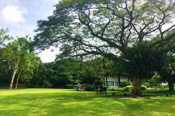 13個新加坡最好玩的公園！野餐，徒步，釣蝦，捕螃蟹