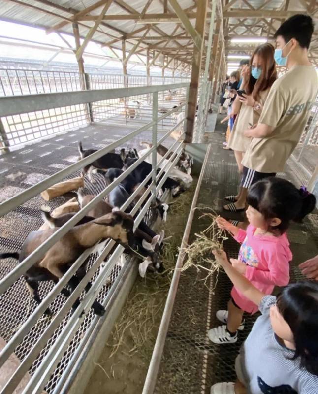 周末去哪兒玩？新加坡休閑動物農場了解一下