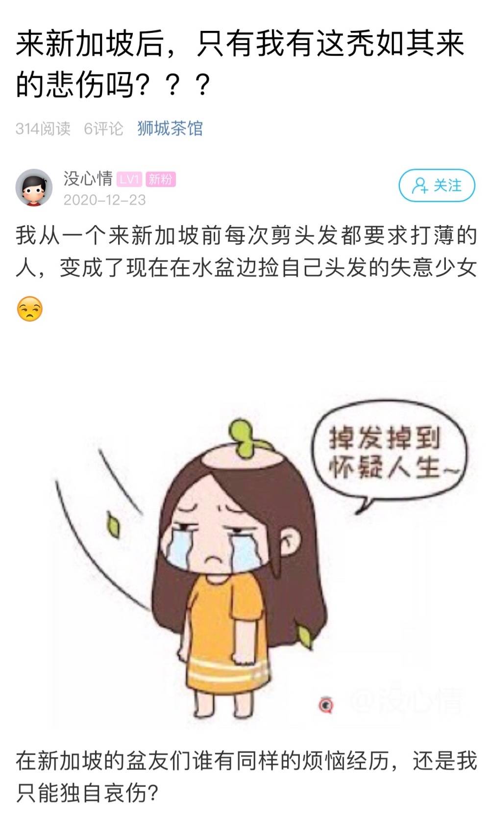 求助！来新加坡后，脱发问题严重怎么办