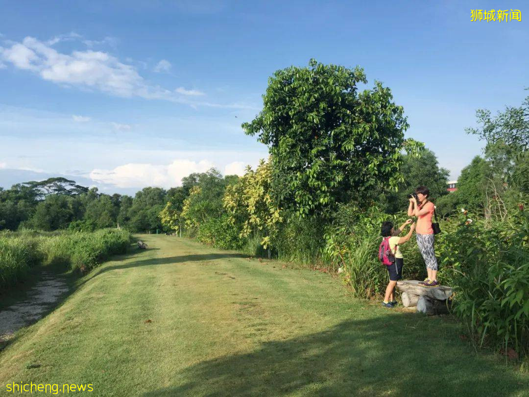 人少景美！新加坡5個自然公園推薦，第一個就心動了