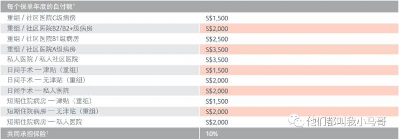 一篇帖子讓你清清楚楚的了解新加坡的醫療保險