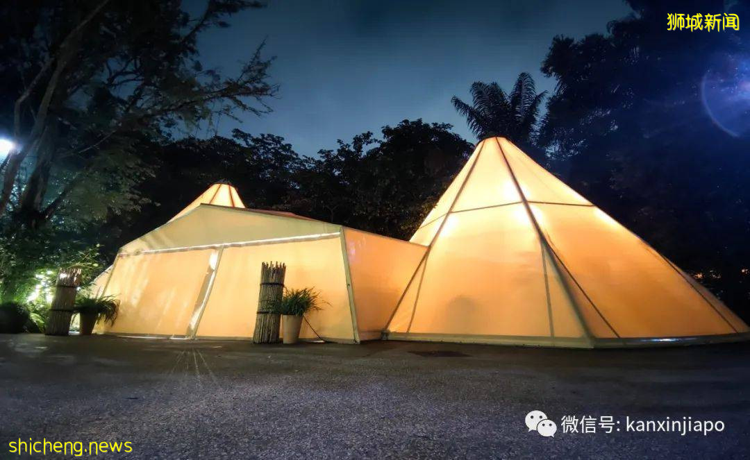 小米新加坡牵手Night Safari动物园网红大象，温情满满