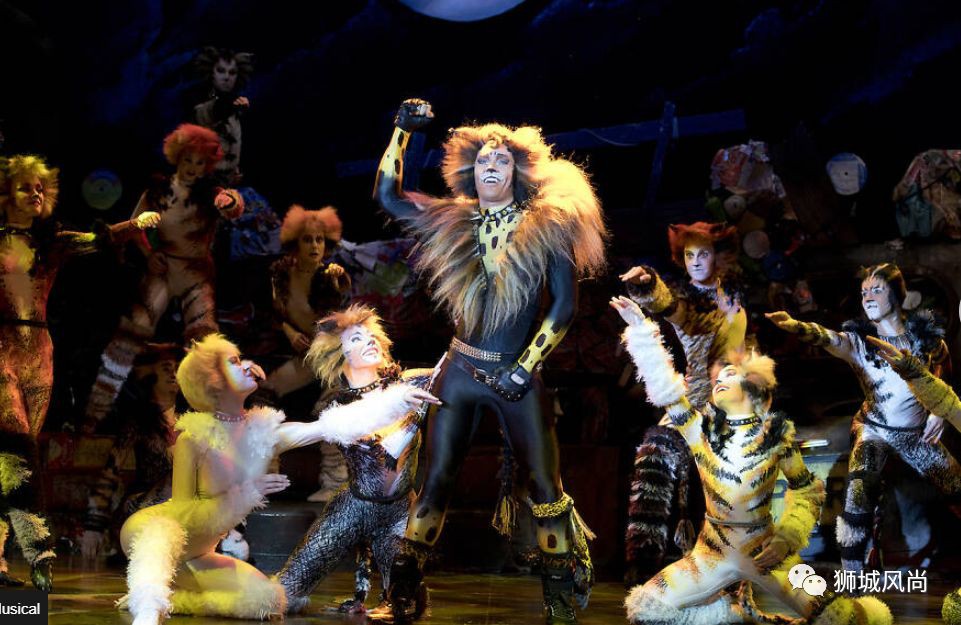 Cats The Musical Is Now In Singapore