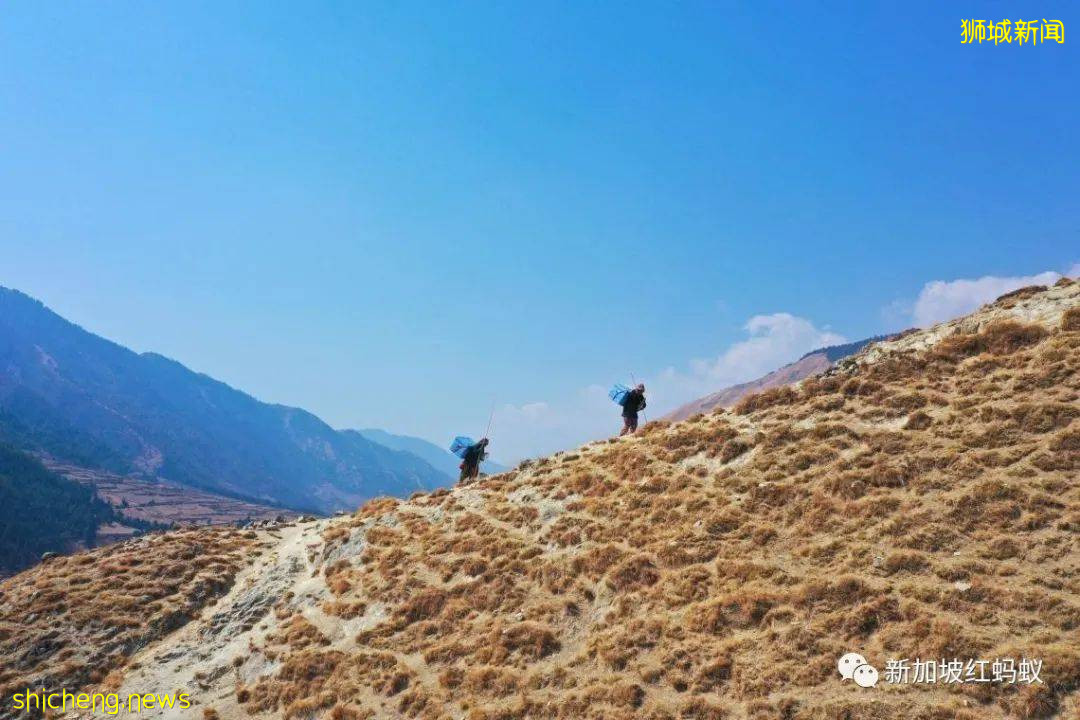 長途跋涉翻山越嶺，只爲了讓你接種冠病疫苗