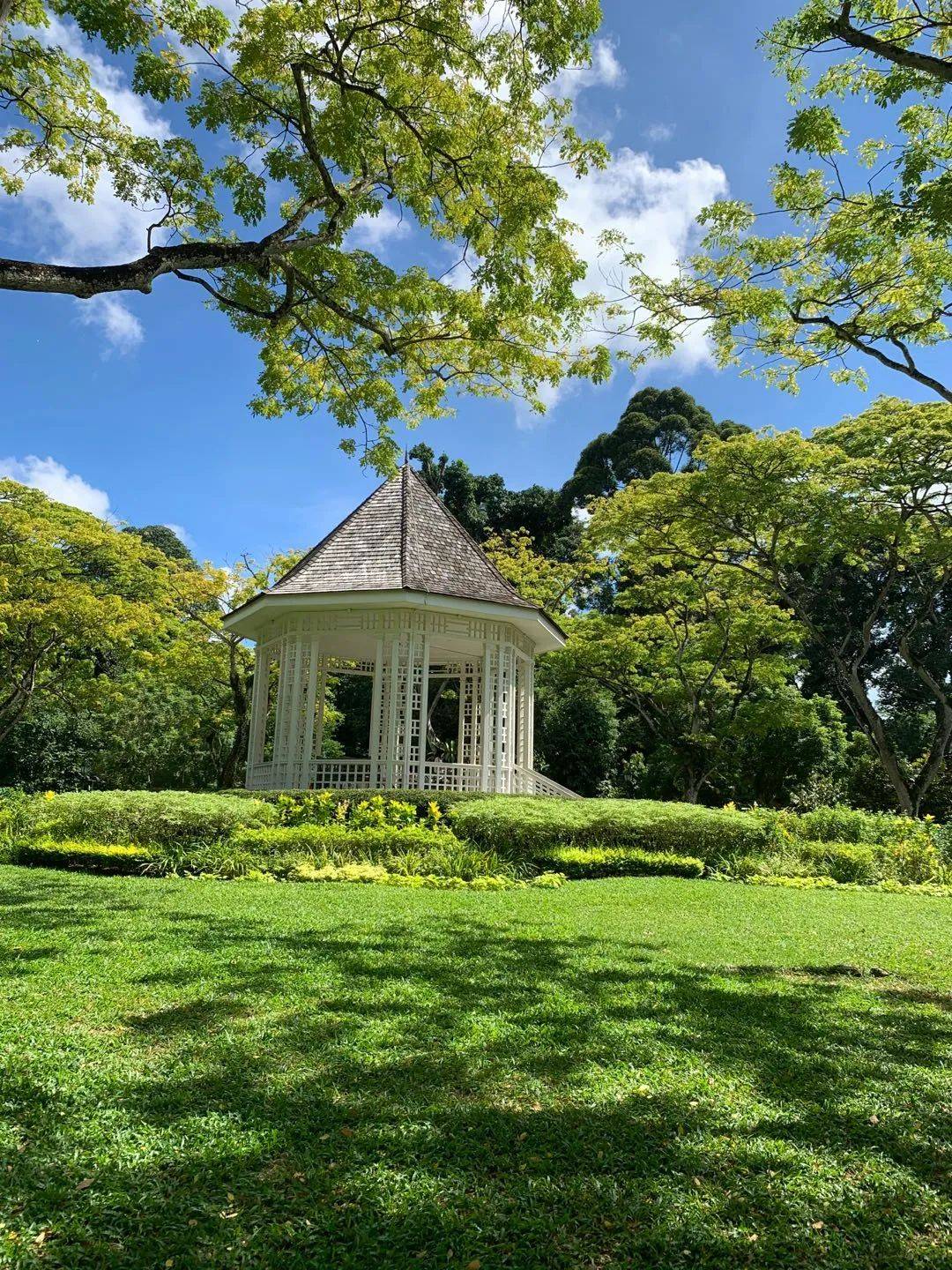 行走狮城——植物园