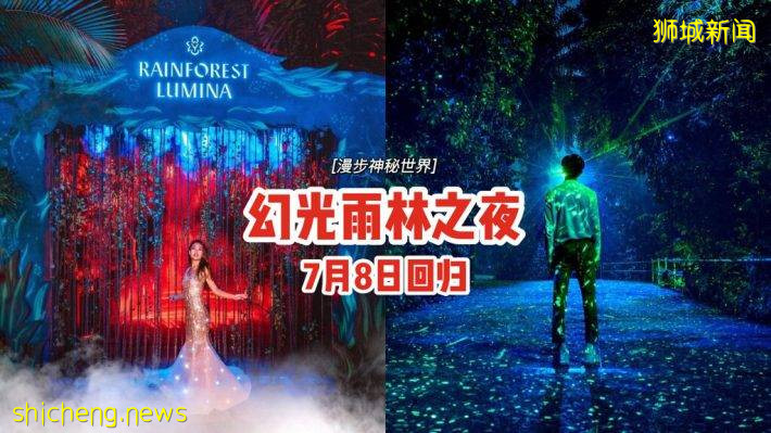 “幻光雨林之夜”7月8日回歸✨十個互動區、保留熱門主題，漫步神秘的雨林世界❣️現在買票有半價優惠