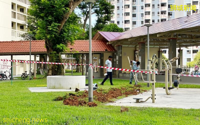 大巴窑两少年触电送院 当局替换四灯柱