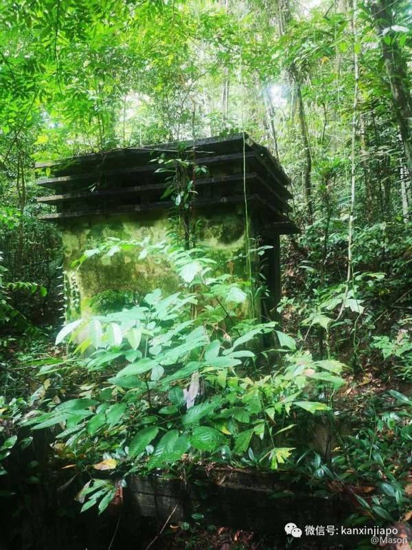 勇闯麦里芝被遗忘的神社，狂风暴雨下惊险求生