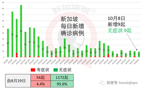 今增10 | 不能出国，但能出海！新加坡下月开放无目的地航游