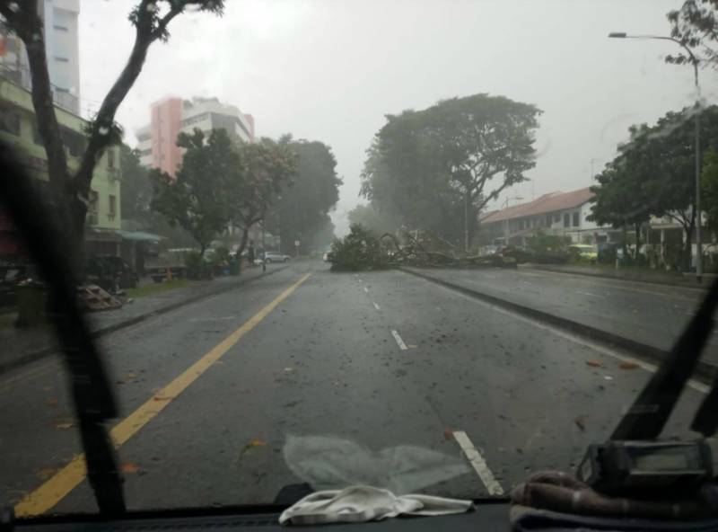 犹如世界末日！实拍新加坡被海啸云“吞没”！暴雨、发大水、树倒