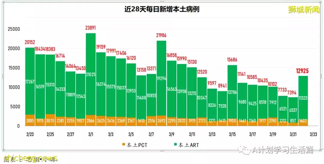 新增8940起，目前住院病患951人；李显龙总理将针对冠病情况 发表全国讲话