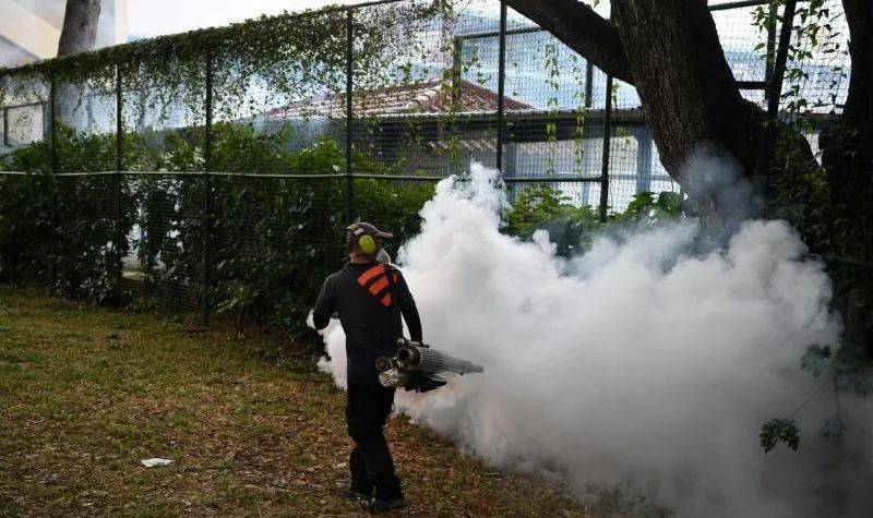 新加坡“以蚊攻蚊”防控骨痛熱症，總理李顯龍提醒：不能對疫情以外的威脅放松警惕