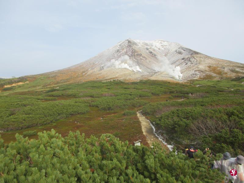 10月19日　新加坡本地热词