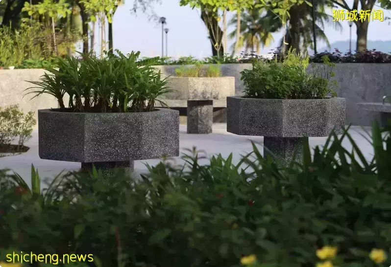 勿洛和巴西立現在有新的“療愈”花園~(聊天, 看海,好惬意)