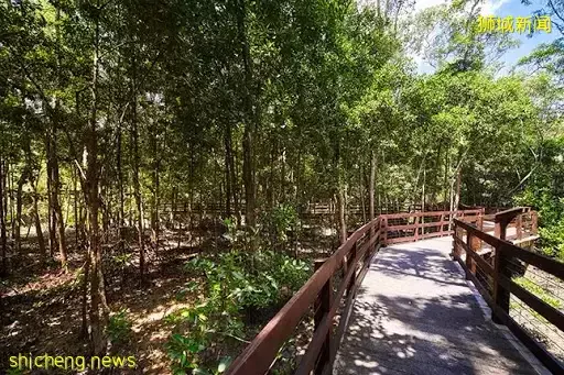 新加坡這些公園太美了！與大自然擁抱，和海浪、飛機、星空入睡