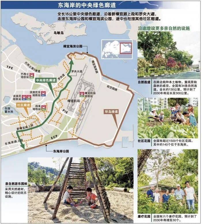 新加坡东部将建15公里长新中央绿色廊道，全民皆可参与构思，自然爱好者期盼能够恢复樟宜村生物多样性