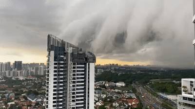 犹如世界末日！实拍新加坡被海啸云“吞没”！暴雨、发大水、树倒