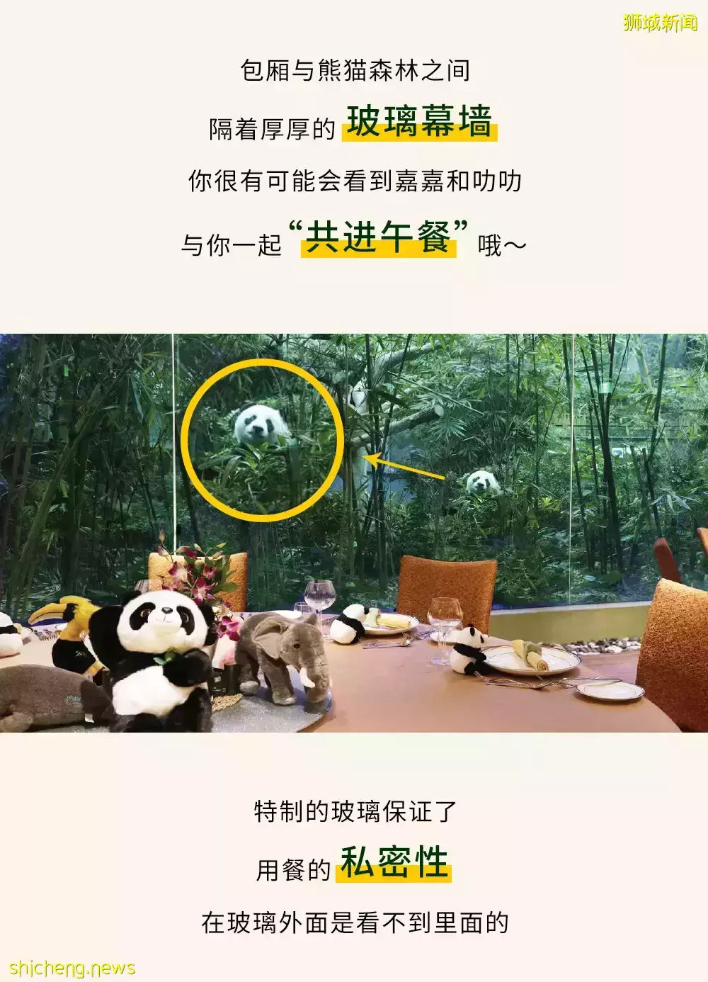 在新加坡河川生态园享受私人导览、“与熊猫共进午餐”是种怎样的体验