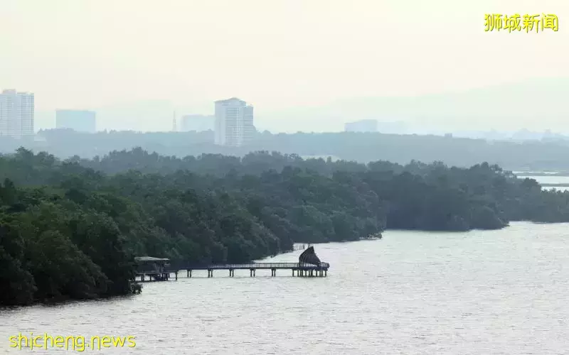 第二部分研究招标 西北海岸线拟打造“可淹没公园”防护设施