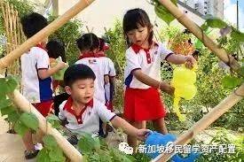 新加坡公立幼儿园的两大选择