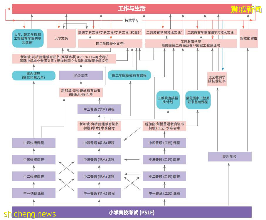 疫情之下新加坡小六会考如期而至！高分秘籍在这里