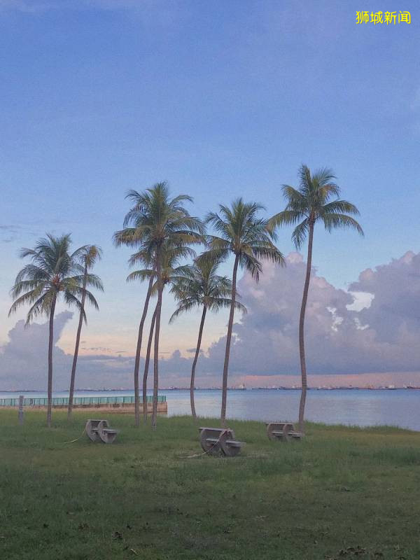 想要一个乘风破浪的夏天？带你打卡新加坡最大的海滨公园